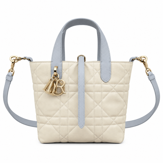 Dior Rose des Vents Mini Tote Bag with Two-Tone Handles and Removable Strap