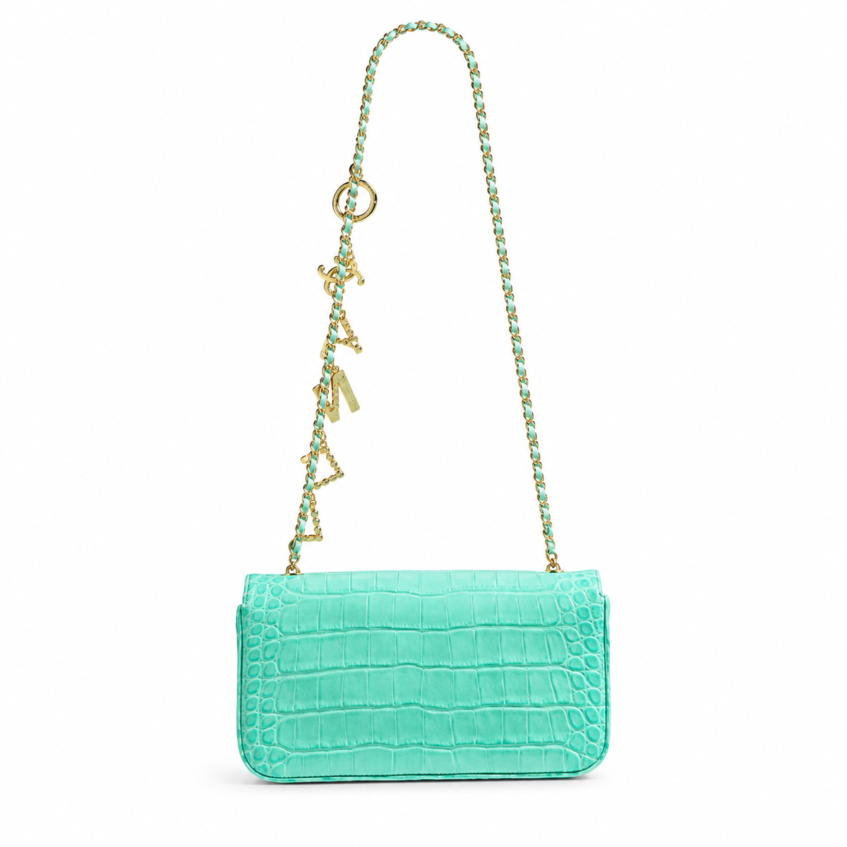 Chanel Classic Quilted Shoulder Bag